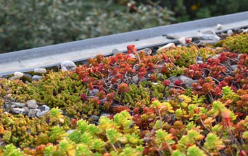 the cost of Pelcomb green roof installation