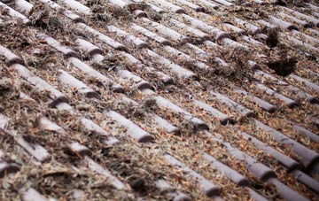 Pelcomb roof cleaning companies