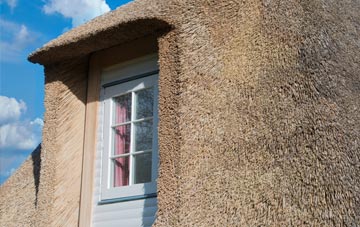 Pelcomb thatch roof disadvantages