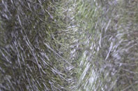 Pelcomb fibreglass roof work